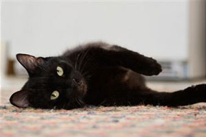 Плохие приметы, которые предвещают счастье